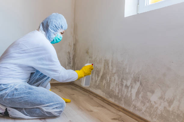 Mold inspector in Higgins Lake performing thermal imaging