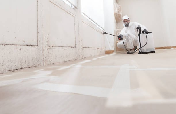 Black mold remediation team in Higgins Lake