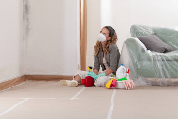 Mold Removal service in Higgins Lake