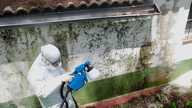 Clearance testing in Higgins Lake